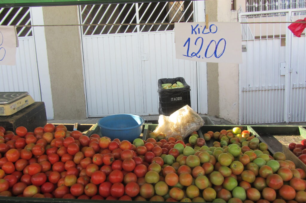 Feira, Feirantes, Feira Livre, Xepa, Preço da Feira