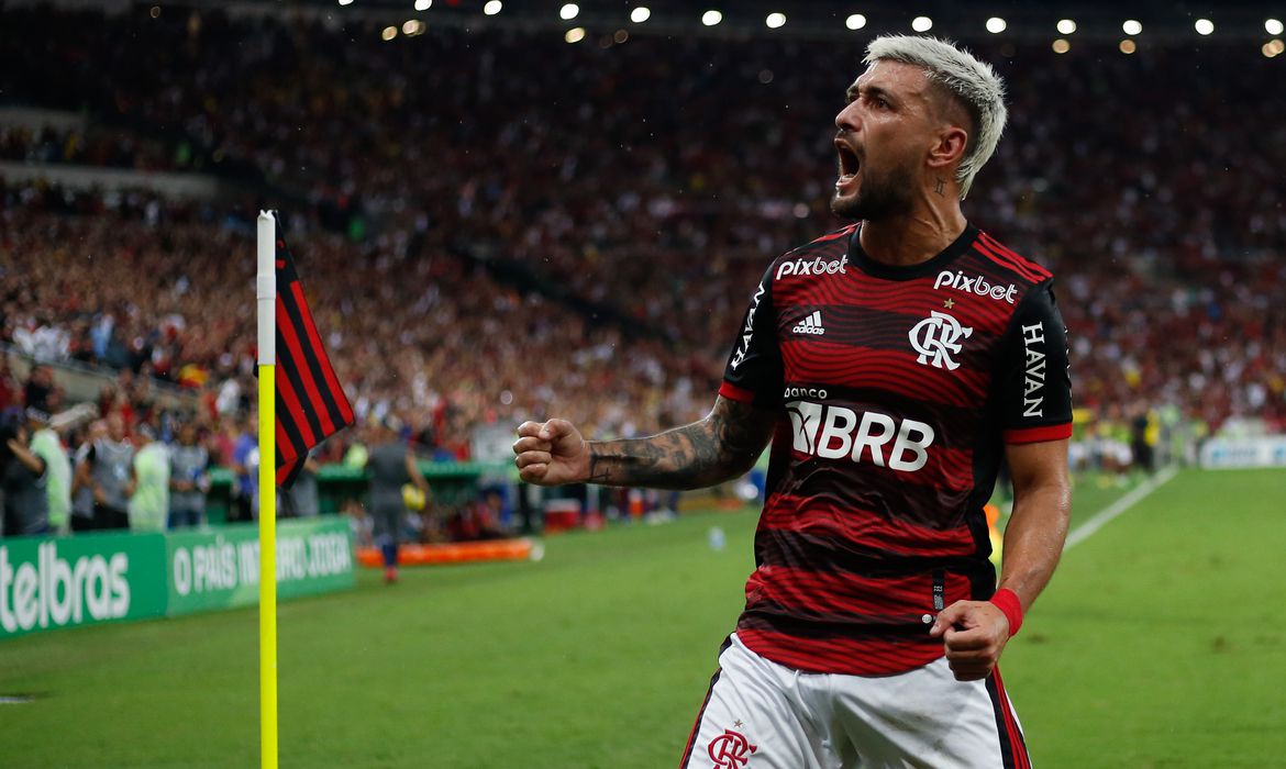 Vencedor: Flamengo se iguala ao Palmeiras em soma de títulos nacionais. foto: reprodução.