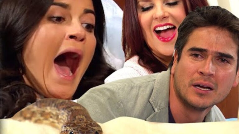 Esmeralda leva picada de cobra em A Gata. (Foto: Divulgação)