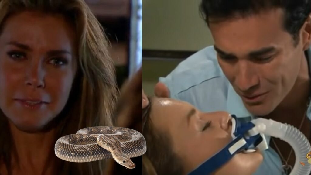 Carmen coloca cobra para picar Elisa em Abismo de Paixão (Foto: Reprodução)