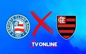 Onde assistir Bahia x Flamengo ao vivo online hoje (28/08/24)