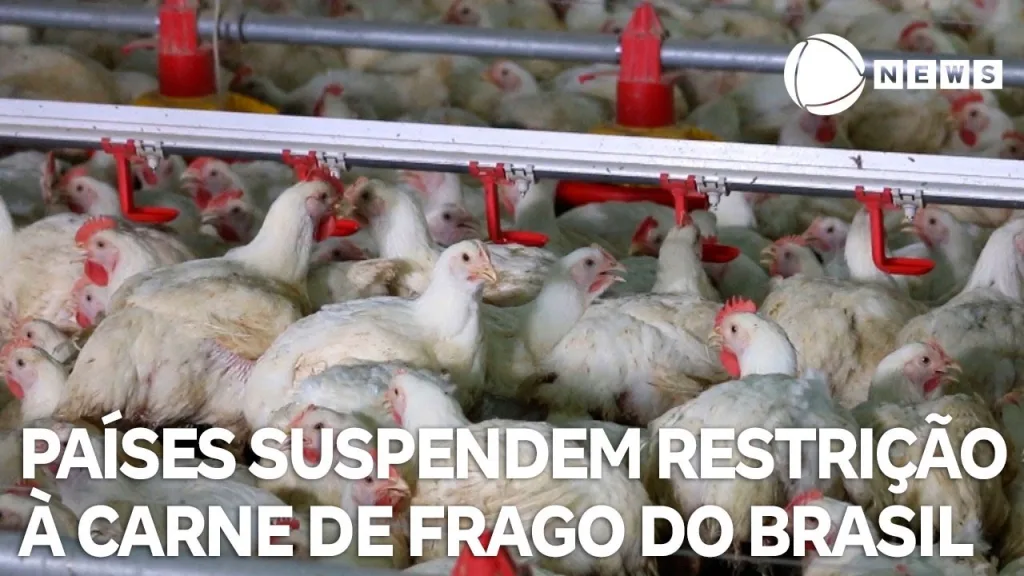 16 países suspendem restrição à carne de frango do Brasil